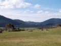 1201-1656 Namadgi (1060140)